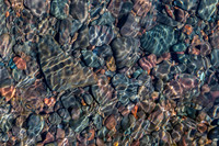 Abstract (1)