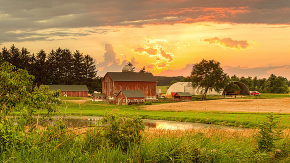 Farm Scene