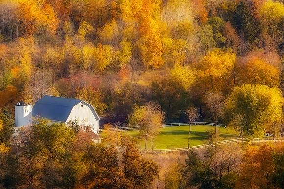 Farm Scene