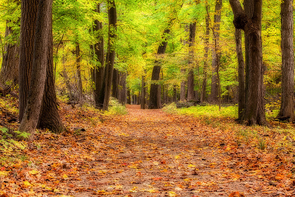 Fall/Winter (1)