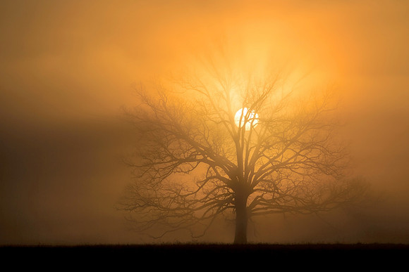 Sunrise/Set (1)