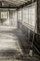 Sepia (1)