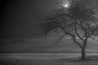 Weather (1)