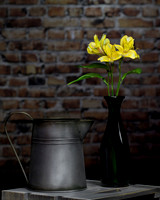 Still Life (1)