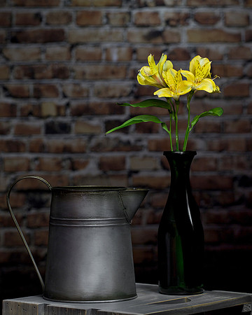 Still Life (1)